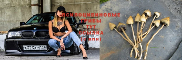 молекула духа Волосово