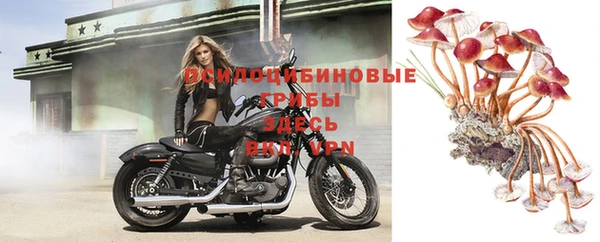 mdpv Володарск