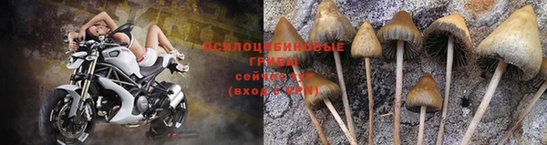 молекула духа Волосово