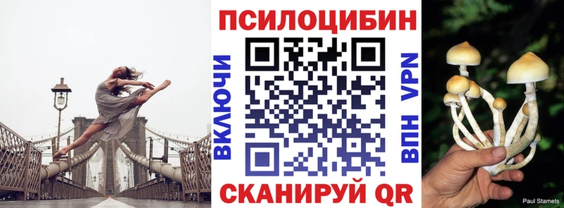 Галлюциногенные грибы Psilocybe  Купить закладки  Дрезна 